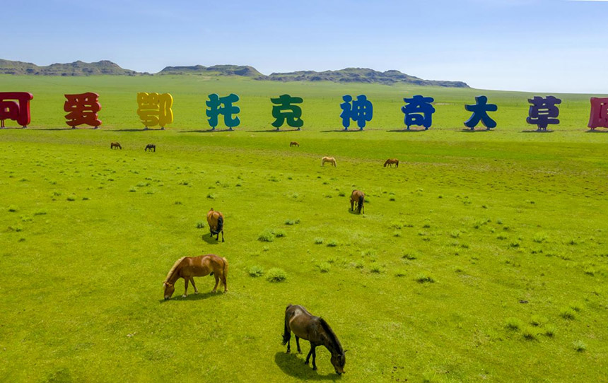 可愛(ài)鄂托克，神奇大草原。
