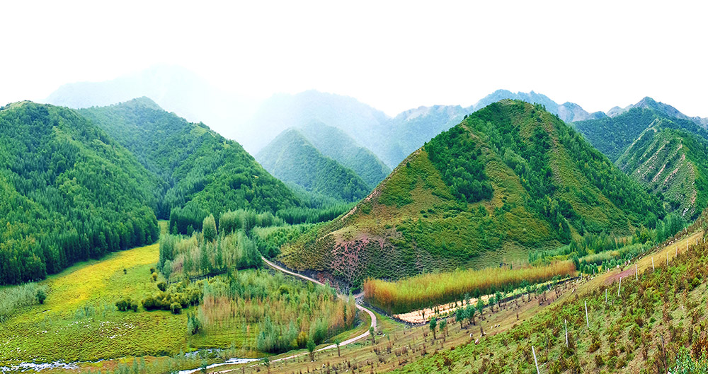 林西縣大冷山生態(tài)景區(qū)