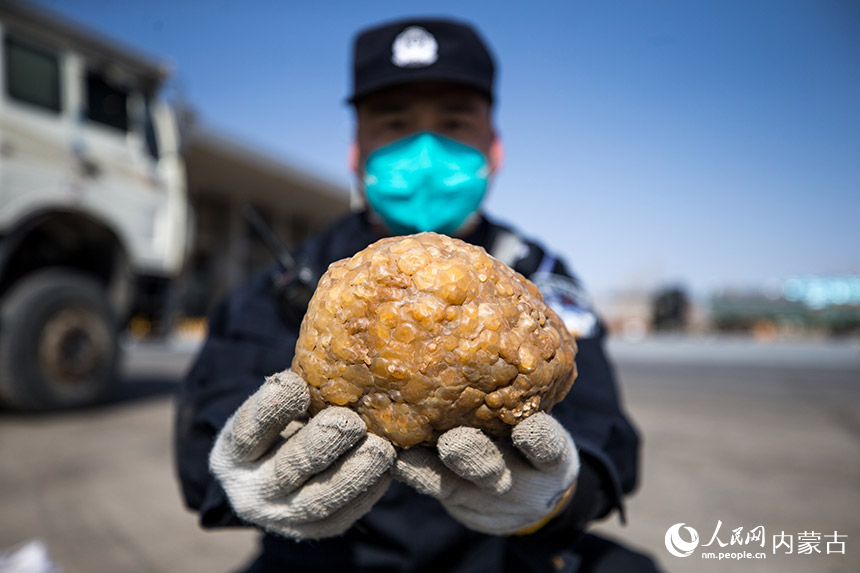 二連出入境邊防檢查站執(zhí)勤民警查獲的走私戈壁石。郭鵬杰攝