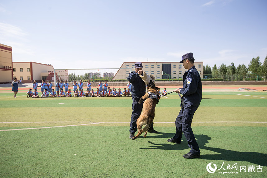 二連出入境邊防檢查站移民管理警察為學(xué)生們進(jìn)行警犬戰(zhàn)術(shù)表演。郭鵬杰攝