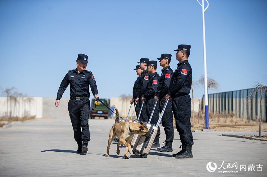 警犬訓(xùn)導(dǎo)員組織警犬進行箱包搜毒訓(xùn)練。郭鵬杰攝
