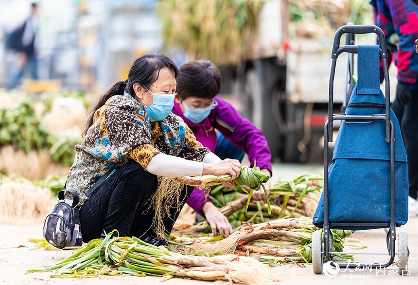 呼和浩特市玉泉區(qū)美通農(nóng)產(chǎn)品批發(fā)市場，市民在選購冬儲大蔥。丁根厚攝
