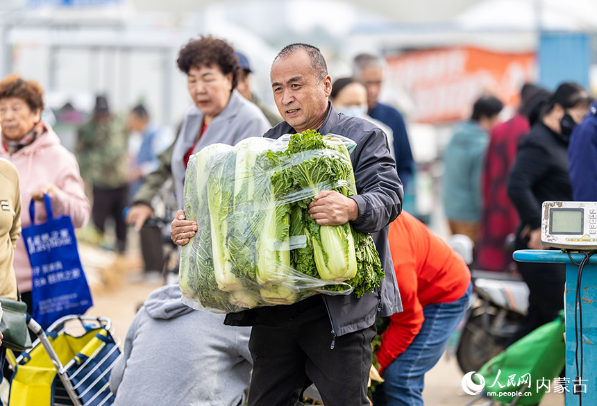 呼和浩特市玉泉區(qū)美通農(nóng)產(chǎn)品批發(fā)市場，市民在采購冬儲(chǔ)大白菜。丁根厚攝