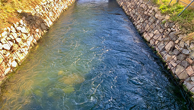 污水變清流，洼地變良田。