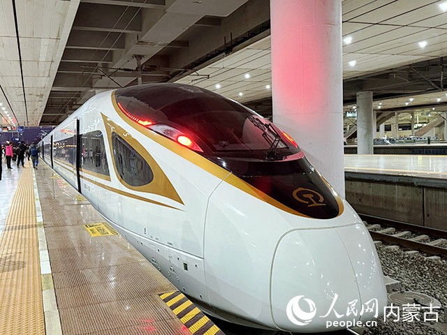 G4798次復(fù)興號動車組駛出呼和浩特東站。人民網(wǎng)記者 寇雅楠攝